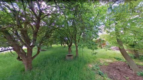 photo_1010