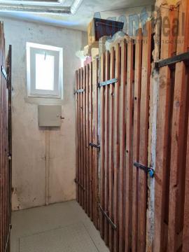 photo_1010