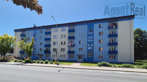 photo_1011
