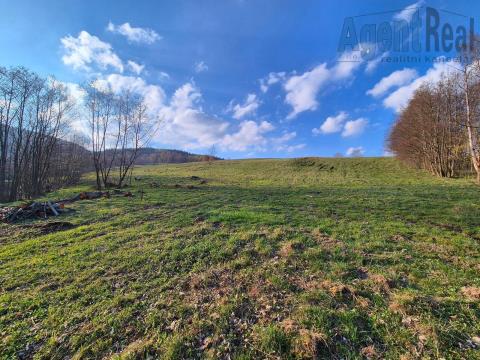 Obrázek nabídky10051