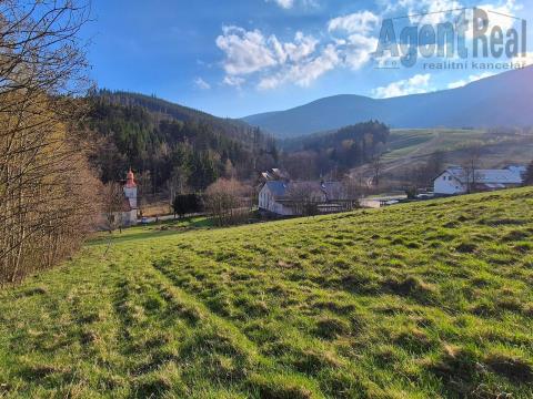 photo_1003