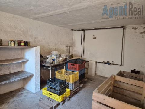 photo_1013