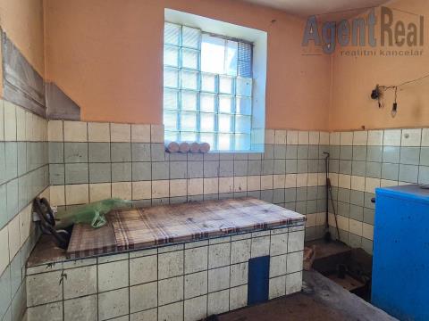 photo_1008